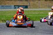 DSC_ (1491)
